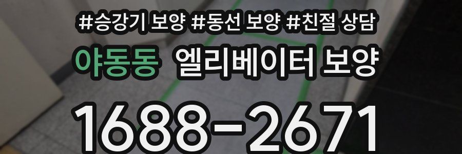 야동동 엘리베이터 보양