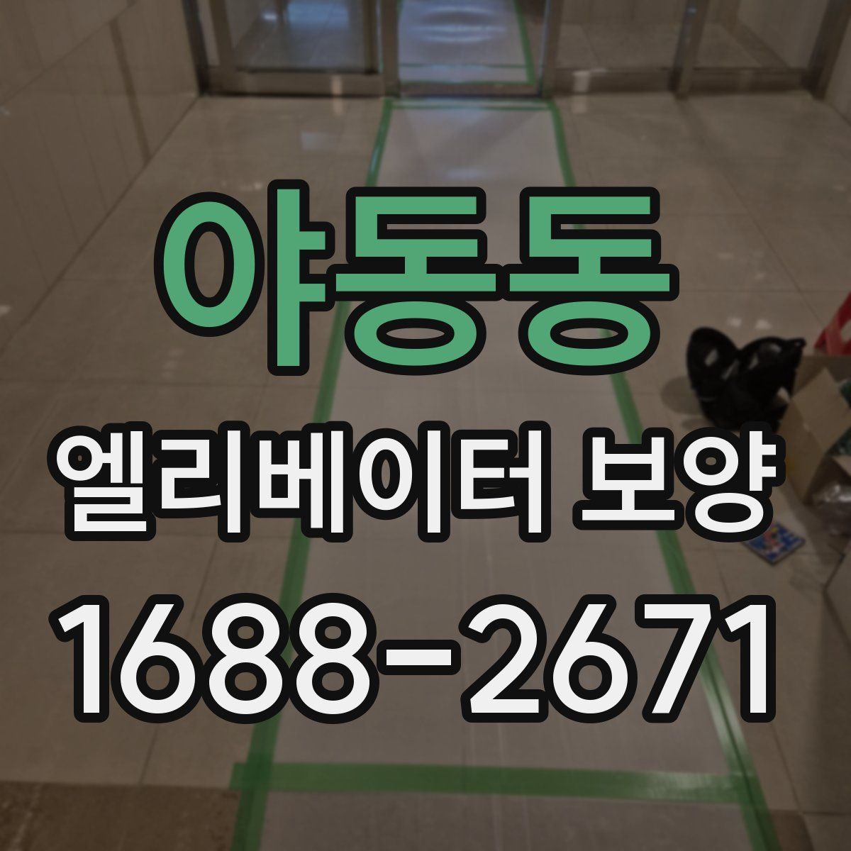야동동 엘리베이터 보양