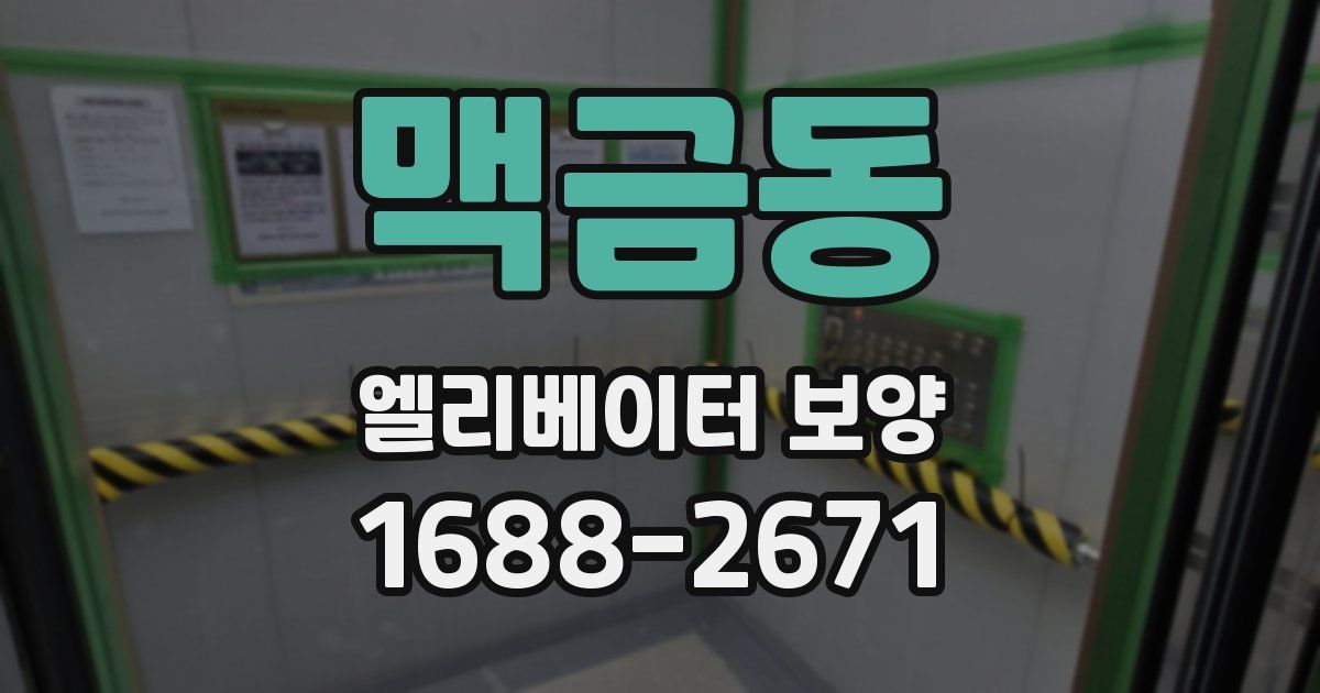 맥금동 엘리베이터 보양