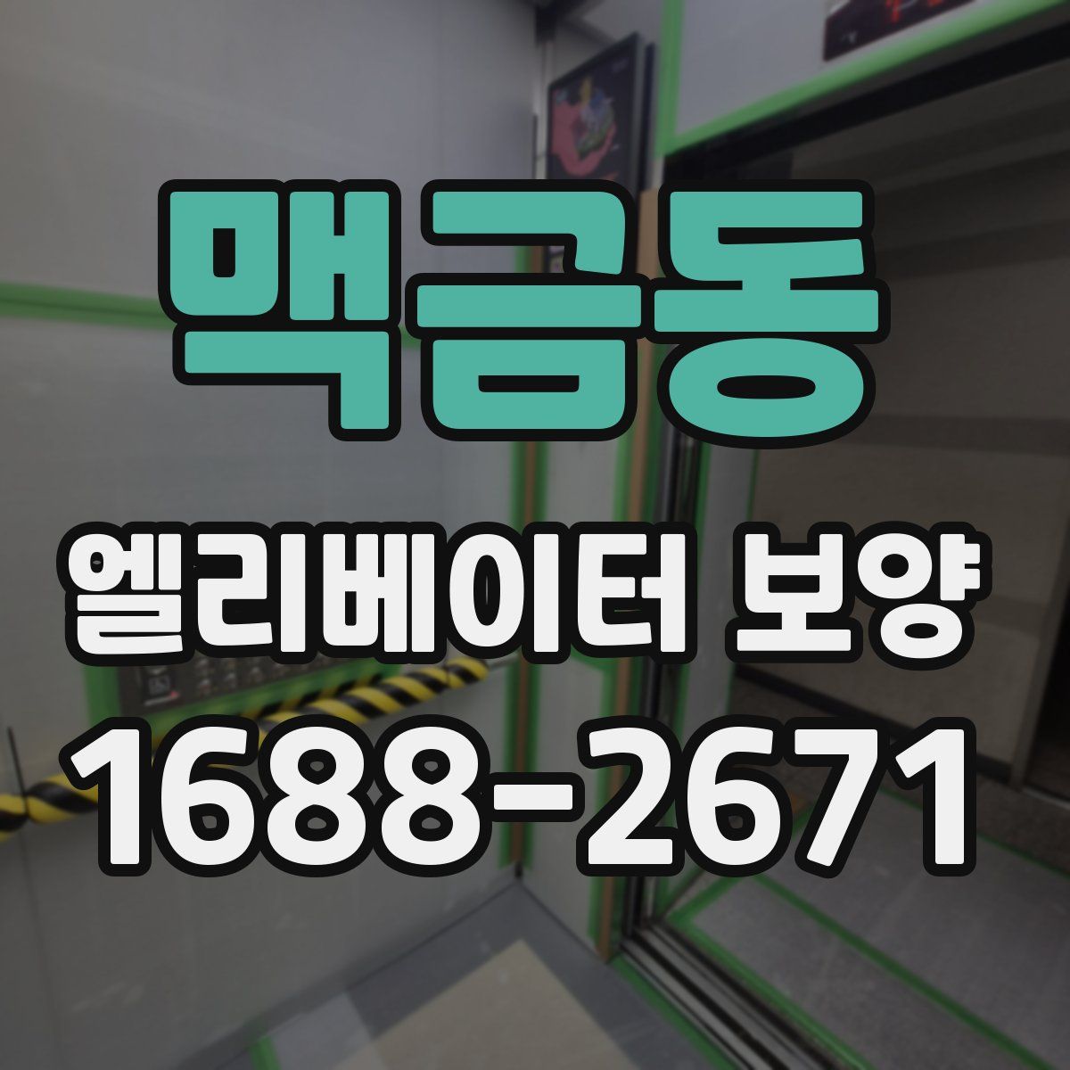 맥금동 엘리베이터 보양
