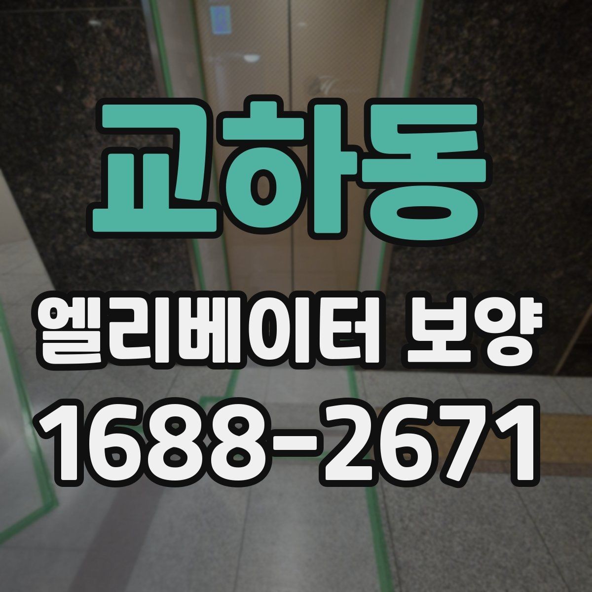 교하동 엘리베이터 보양 작업 현장에서 발생하는 변수 대응법