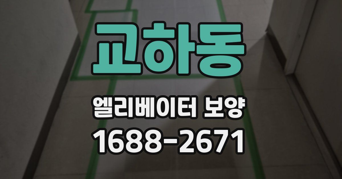 교하동 엘리베이터 보양