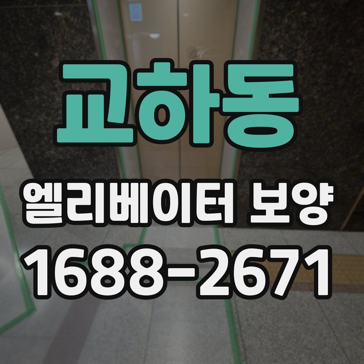 교하동 엘리베이터 보양