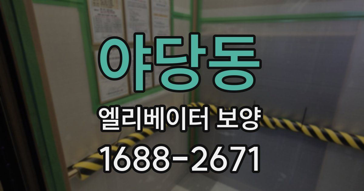 야당동 엘리베이터 보양