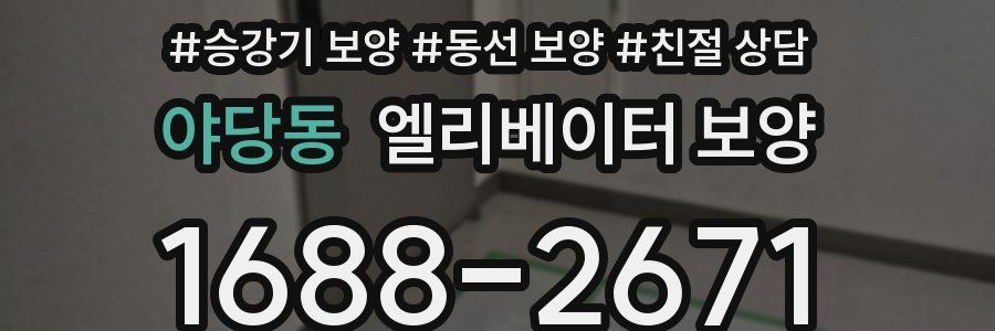 야당동 엘리베이터 보양