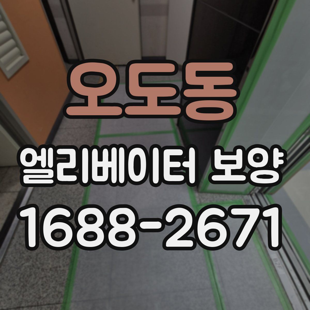 오도동 엘리베이터 보양
