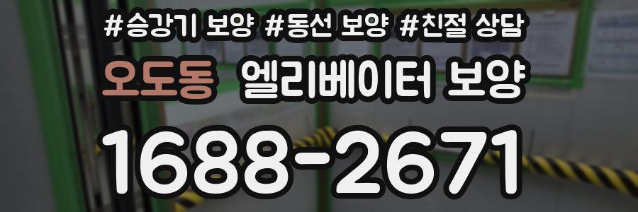 오도동 엘리베이터 보양