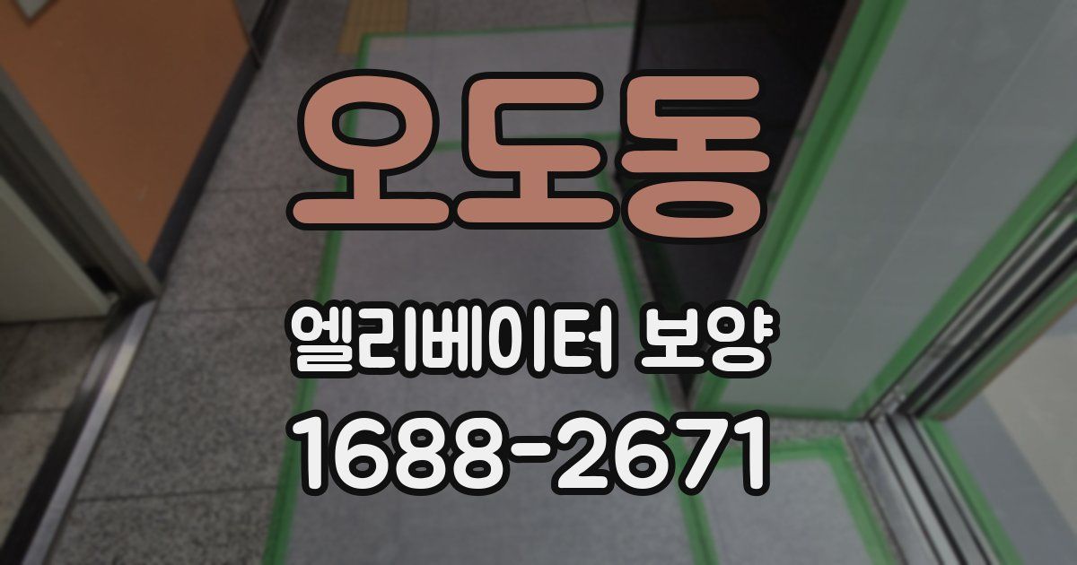 오도동 엘리베이터 보양
