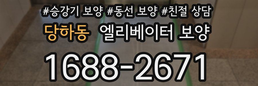 당하동 엘리베이터 보양