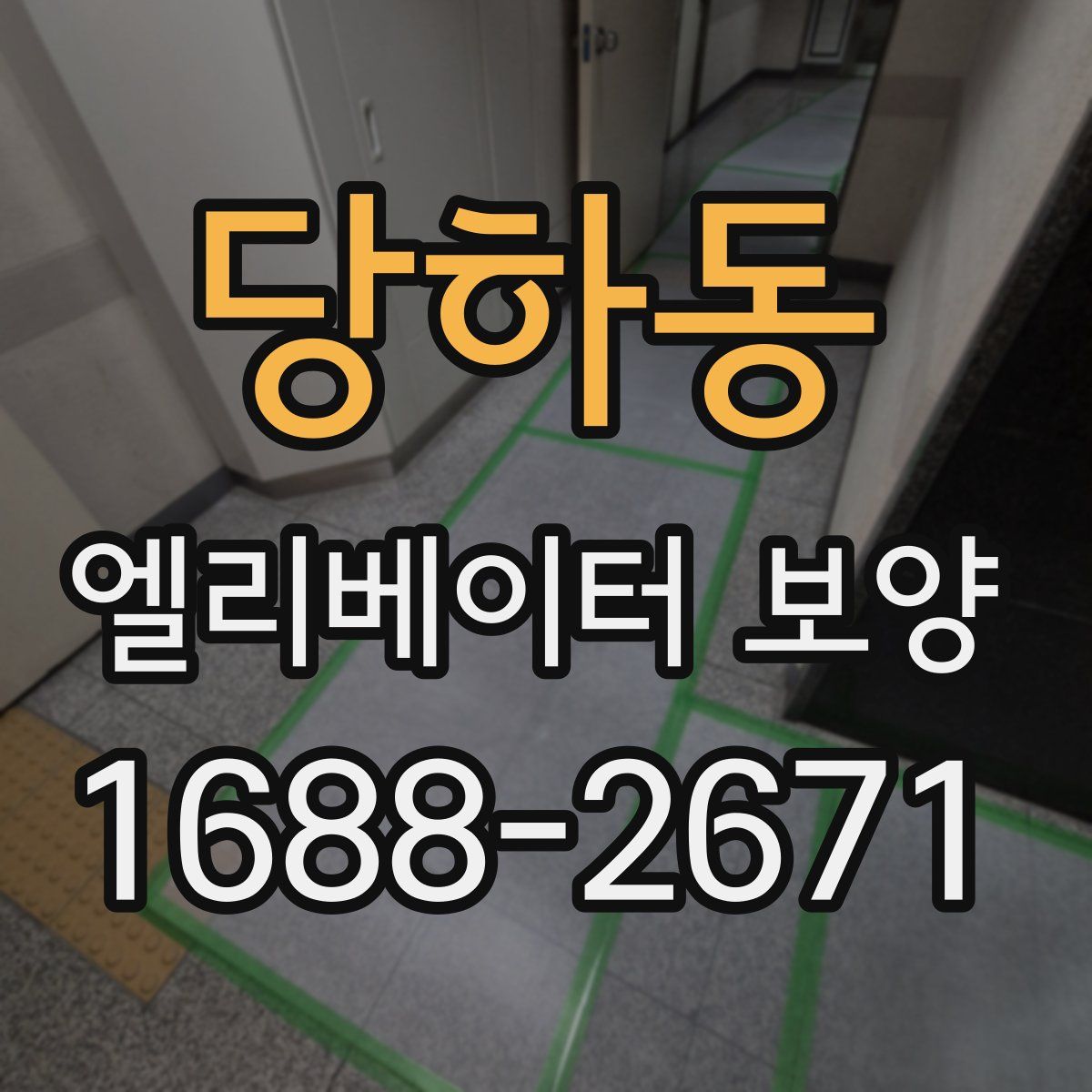 당하동 엘리베이터 보양
