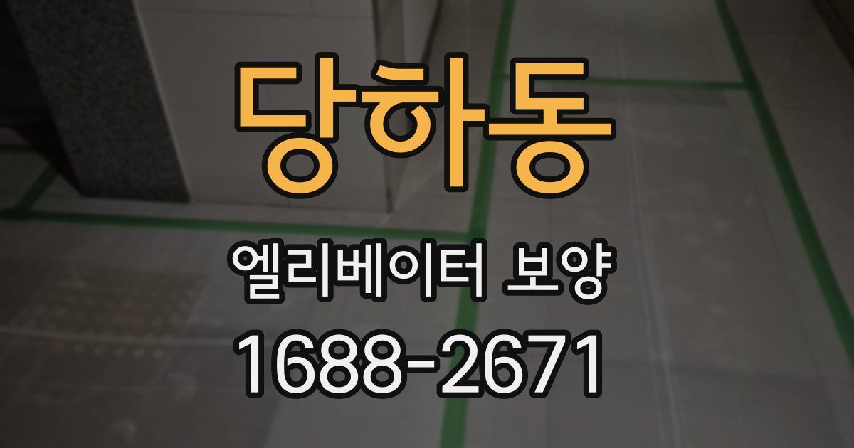 당하동 엘리베이터 보양