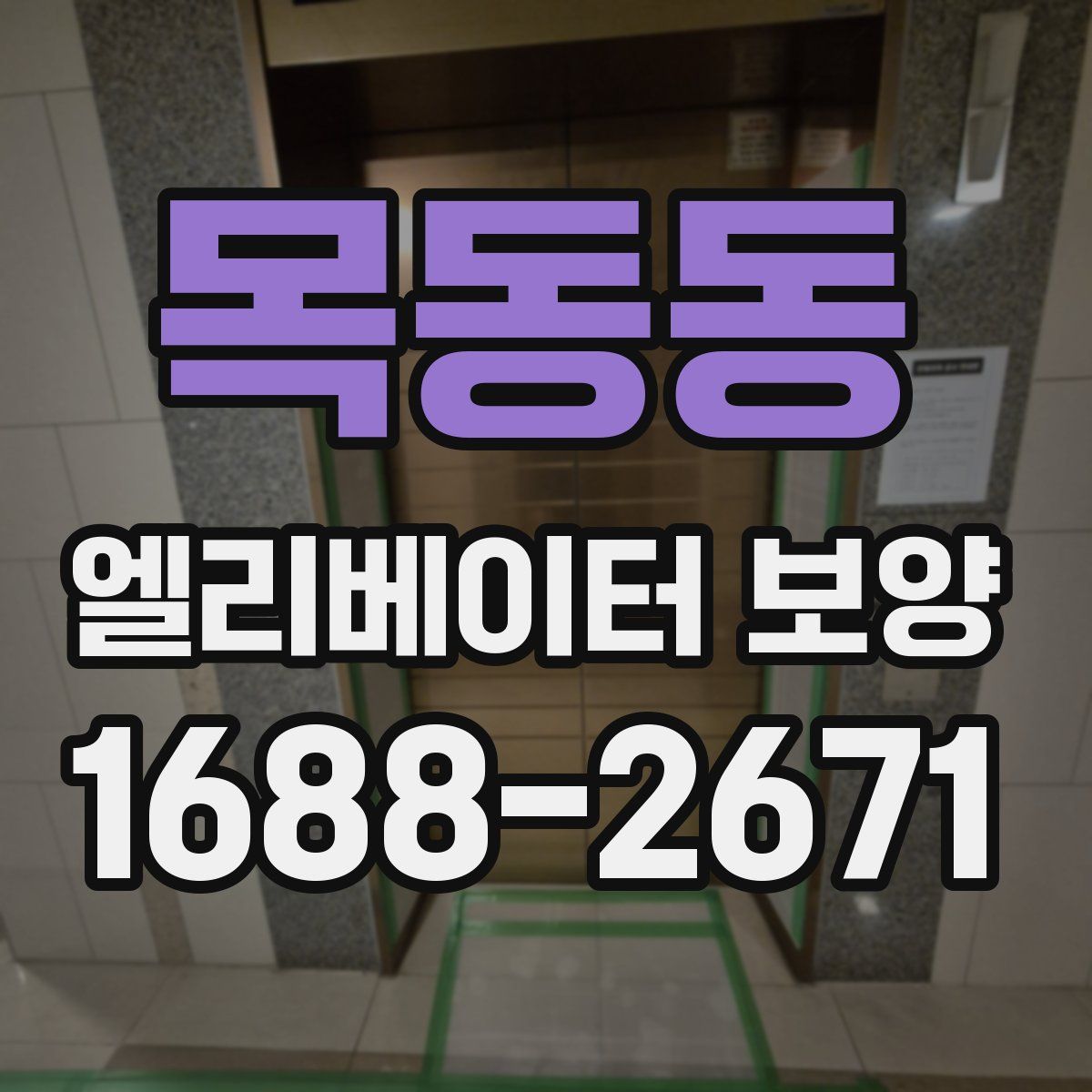 목동동 엘리베이터 보양