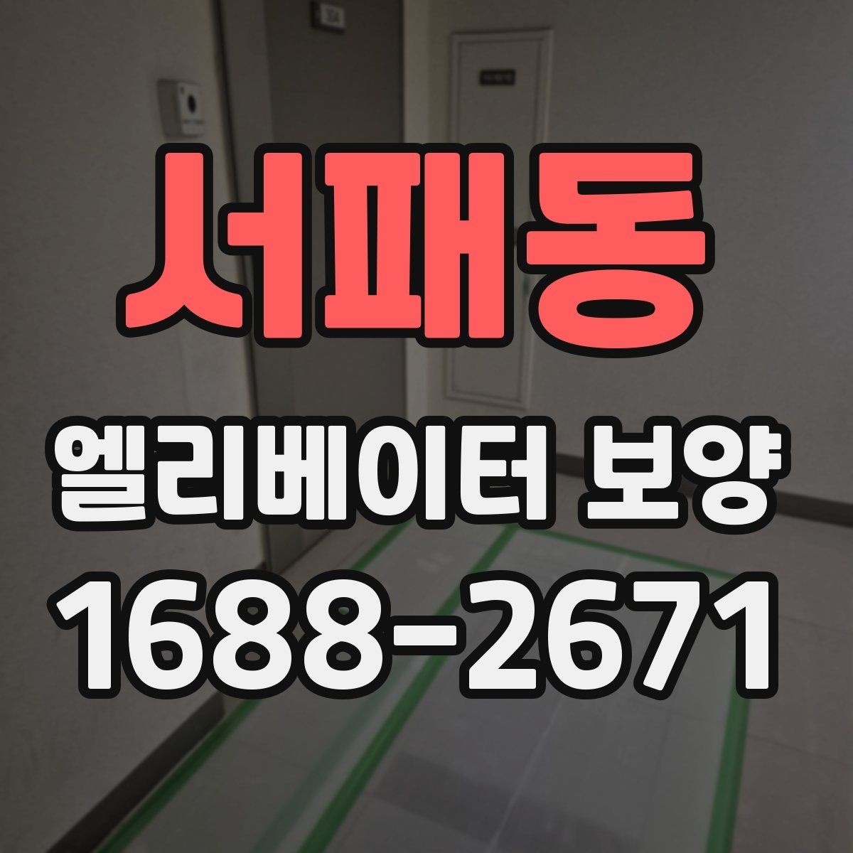 서패동 엘리베이터 보양 관련 계약 전 살펴볼 내용