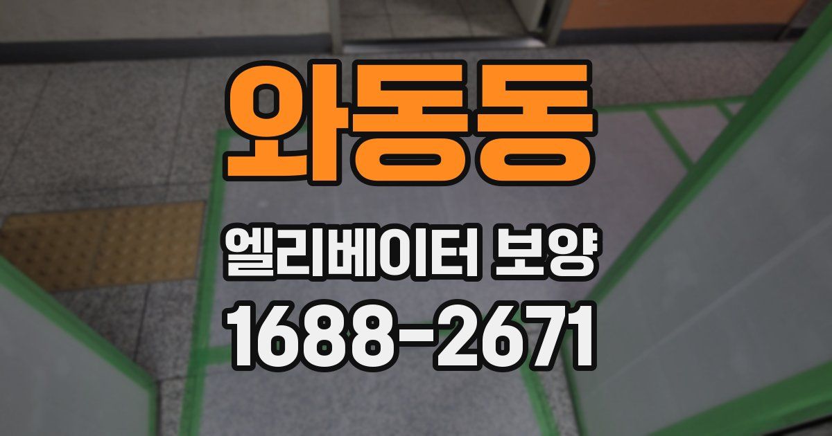 와동동 엘리베이터 보양
