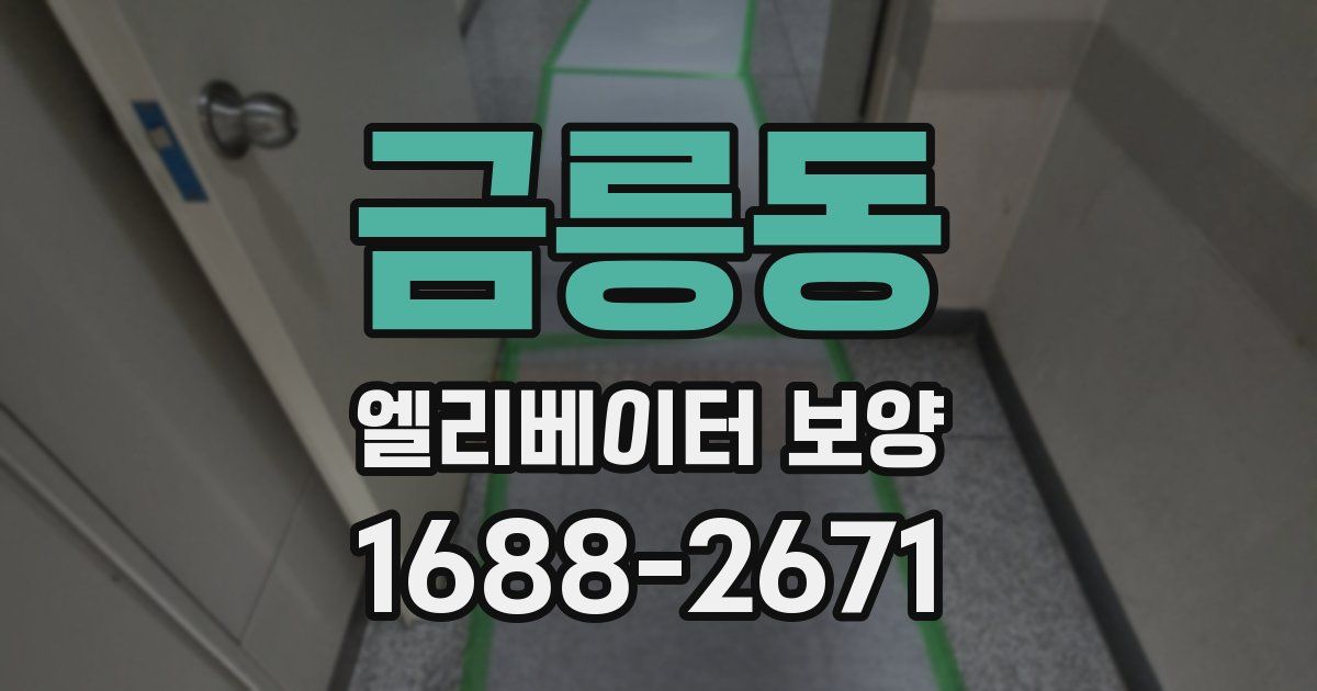 금릉동 엘리베이터 보양