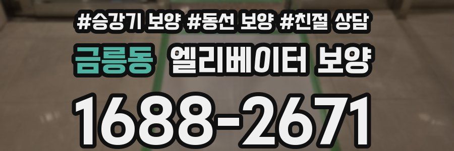 금릉동 엘리베이터 보양