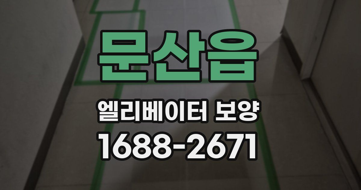 문산읍 엘리베이터 보양