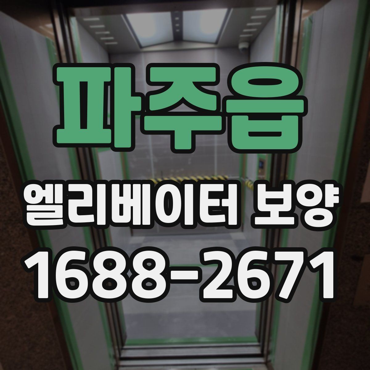 파주읍 엘리베이터 보양 과정에서 확인할 안전 장비