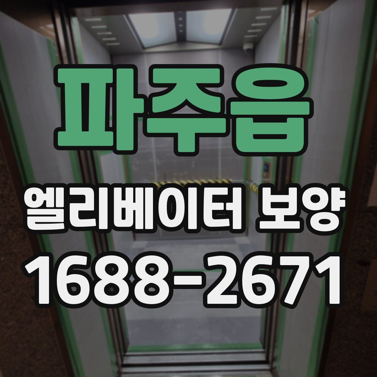 파주읍 엘리베이터 보양