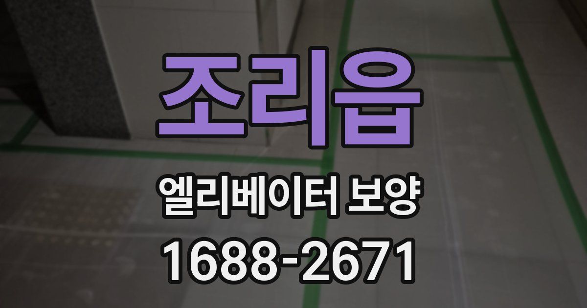 조리읍 엘리베이터 보양