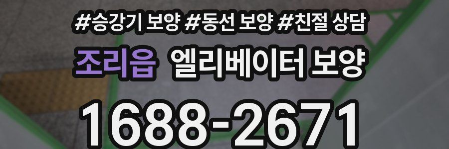 조리읍 엘리베이터 보양