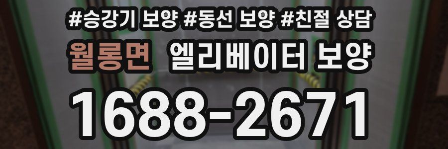 월롱면 엘리베이터 보양