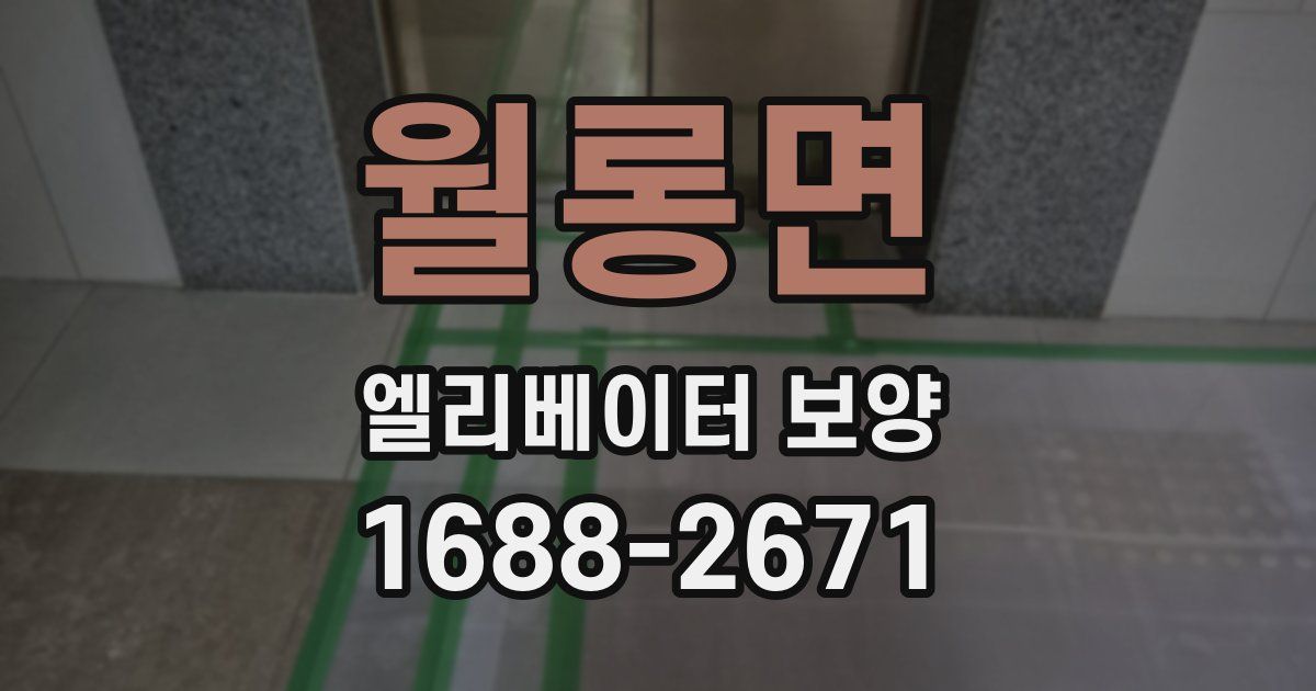 월롱면 엘리베이터 보양