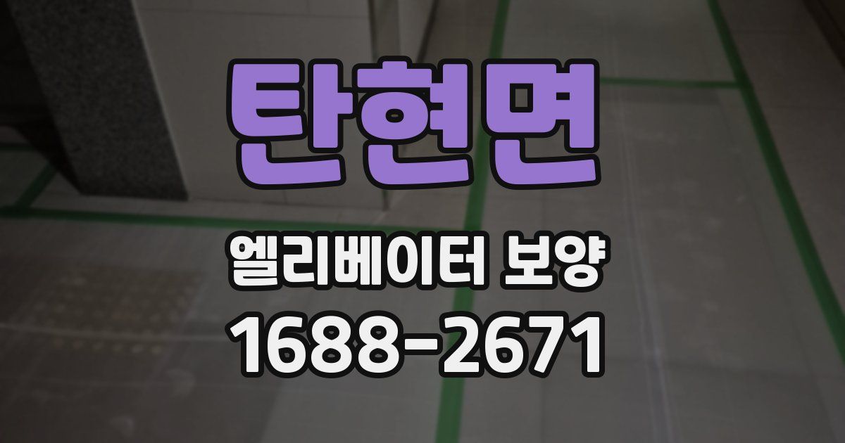 탄현면 엘리베이터 보양