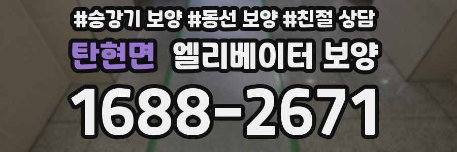 탄현면 엘리베이터 보양