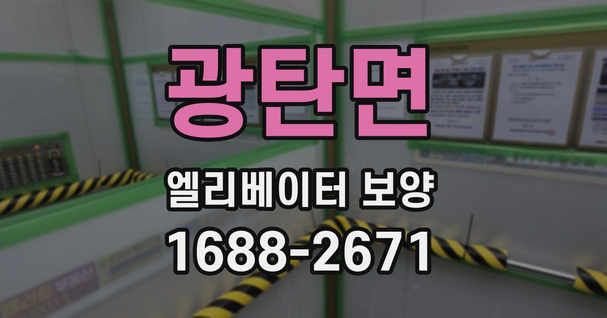 광탄면 엘리베이터 보양