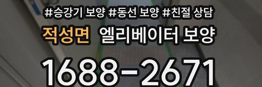 적성면 엘리베이터 보양
