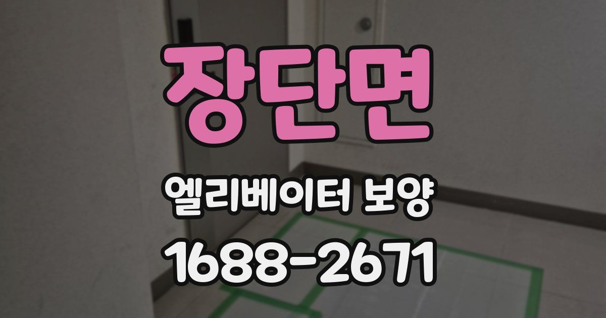 장단면 엘리베이터 보양