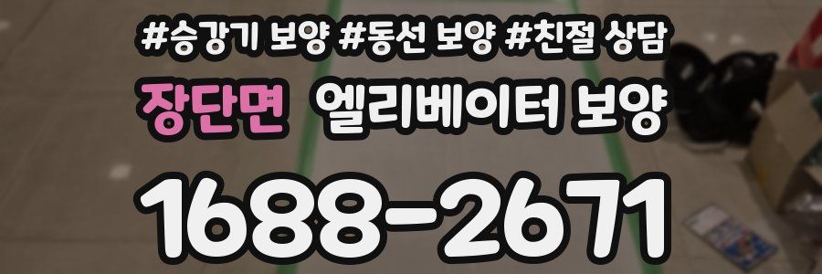 장단면 엘리베이터 보양