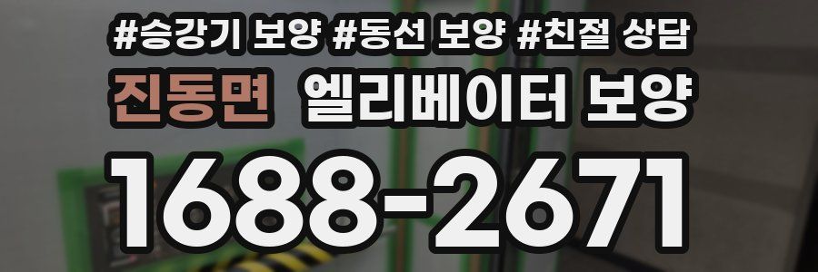 진동면 엘리베이터 보양
