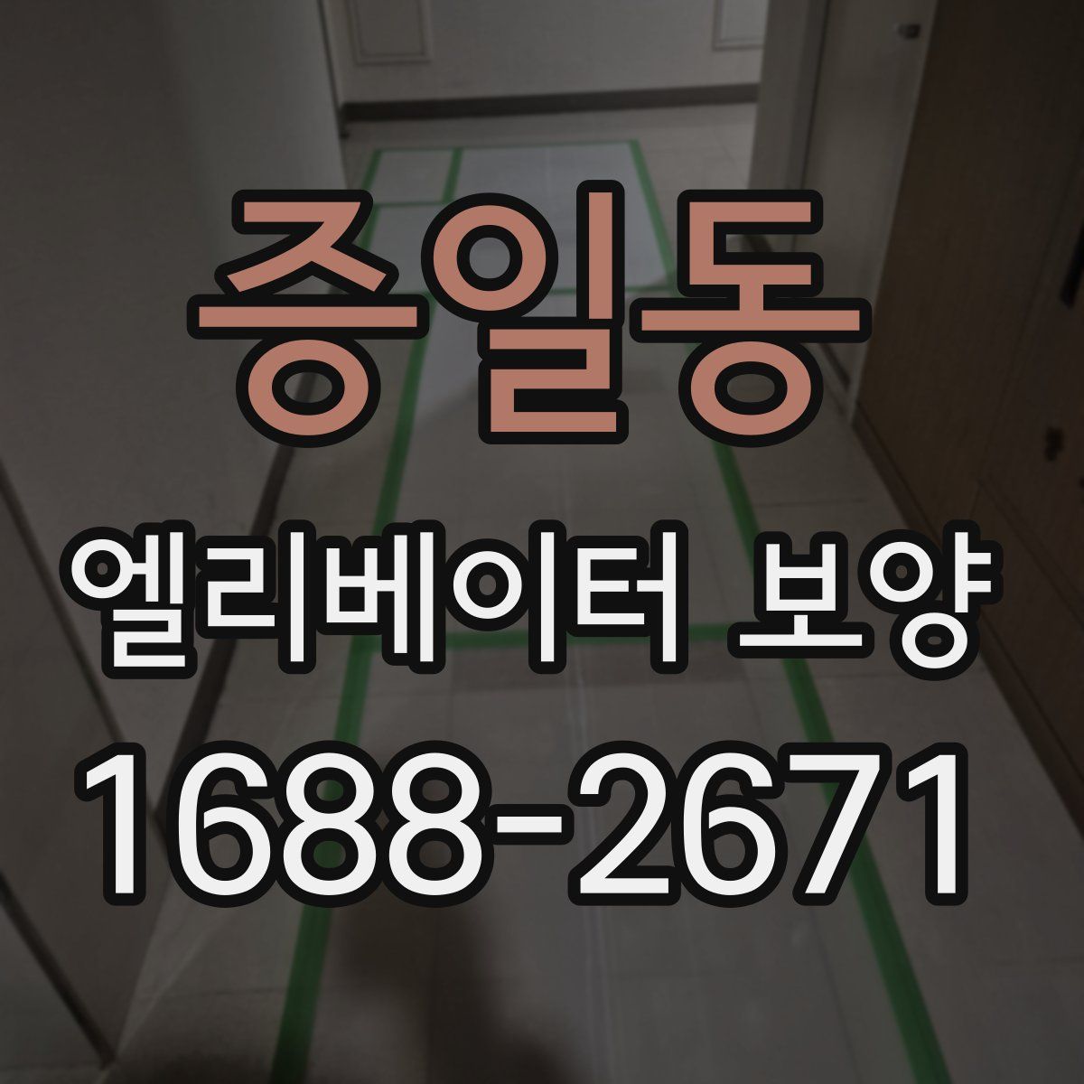 증일동 엘리베이터 보양
