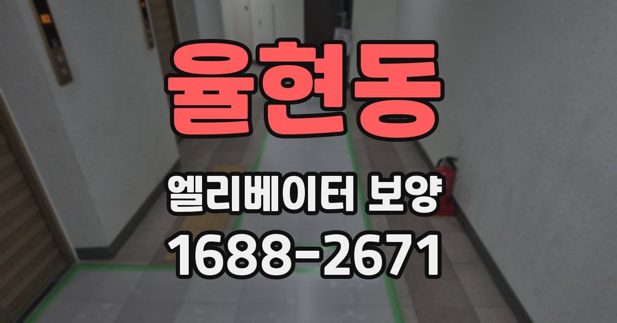 율현동 엘리베이터 보양