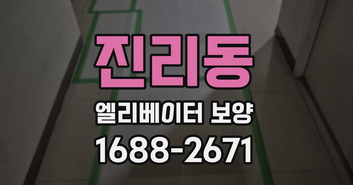 진리동 엘리베이터 보양