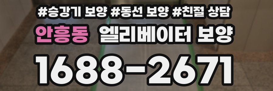 안흥동 엘리베이터 보양