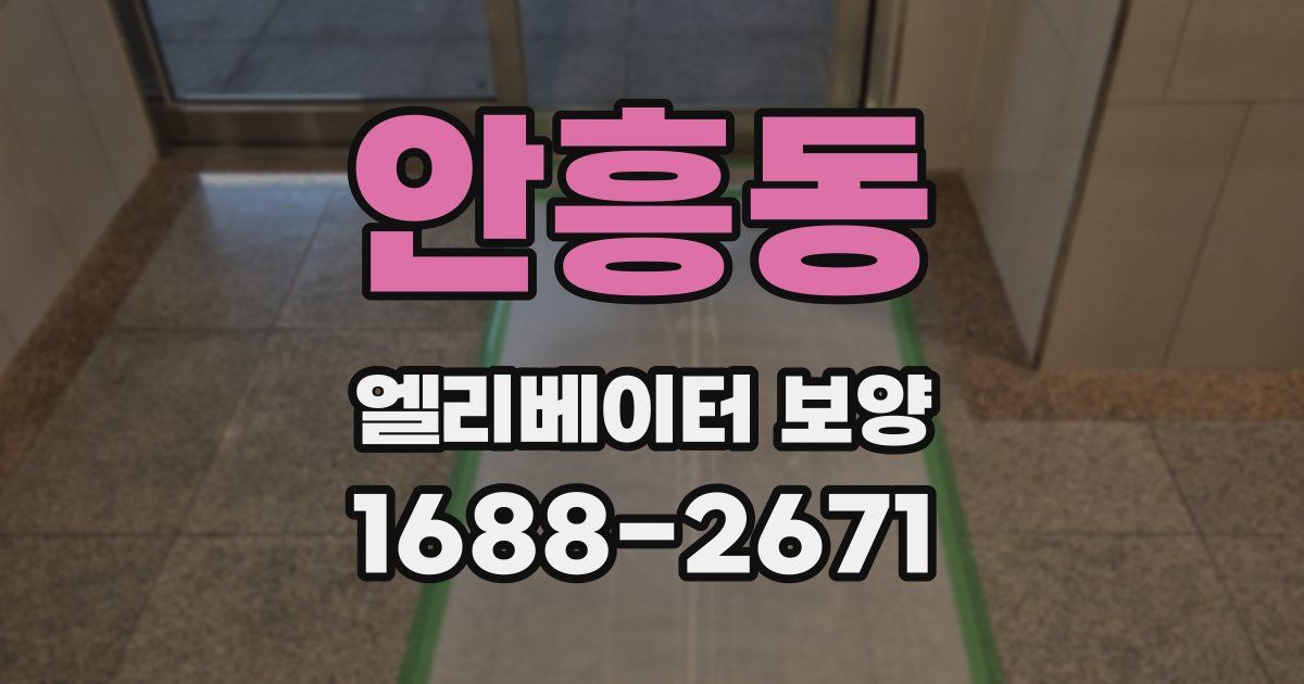 안흥동 엘리베이터 보양