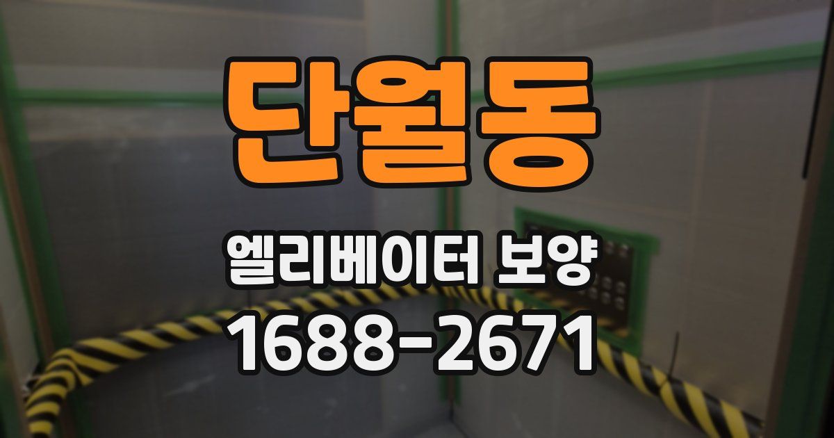 단월동 엘리베이터 보양
