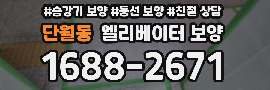단월동 엘리베이터 보양