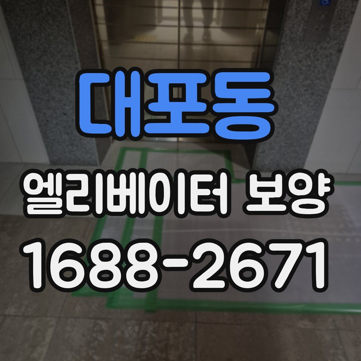 대포동 엘리베이터 보양