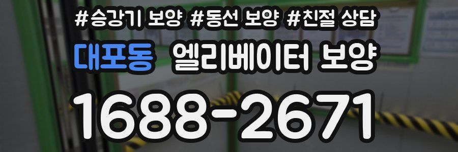 대포동 엘리베이터 보양