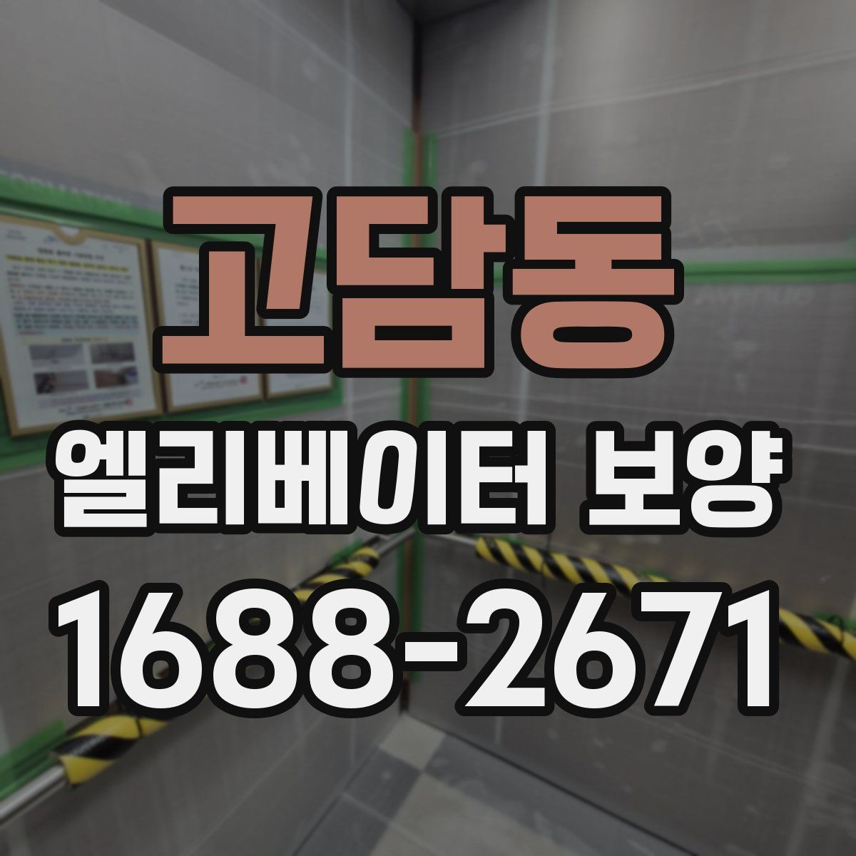 고담동 엘리베이터 보양