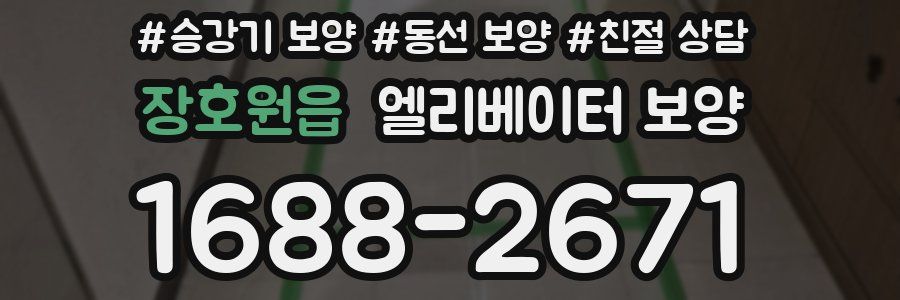 장호원읍 엘리베이터 보양