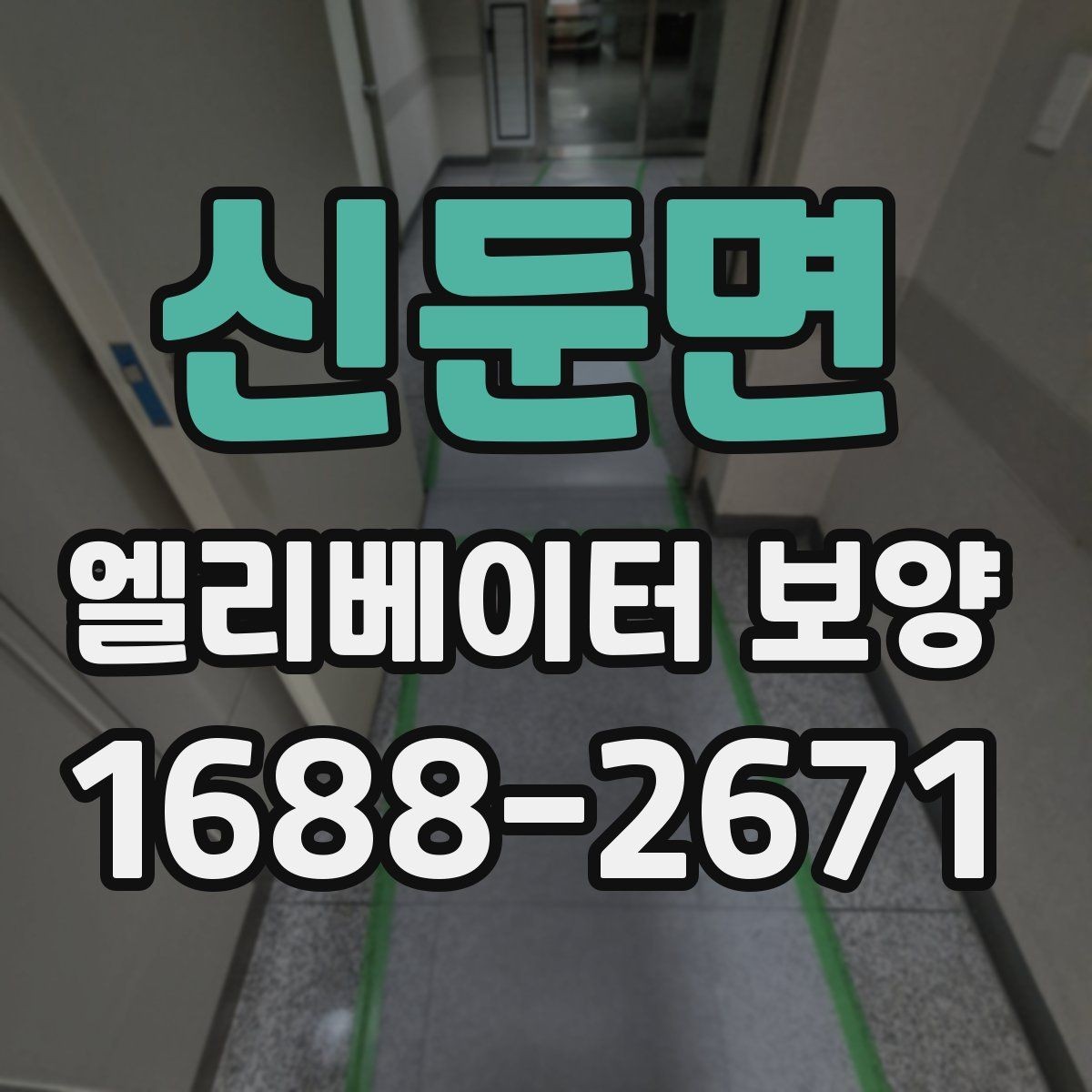신둔면 엘리베이터 보양 설치와 철거의 균형을 맞추는 법