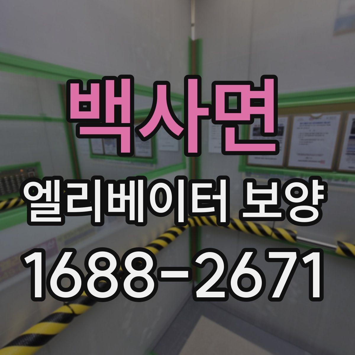 백사면 엘리베이터 보양 시공 업체를 선택하는 현실적인 기준