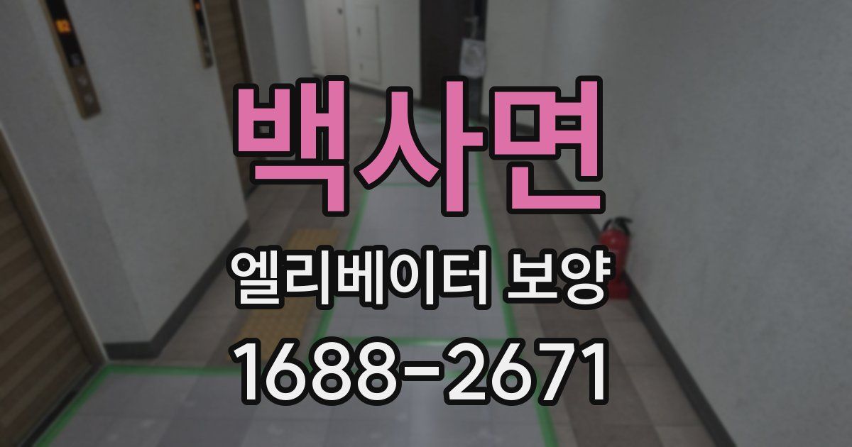 백사면 엘리베이터 보양