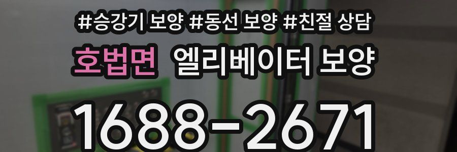 호법면 엘리베이터 보양