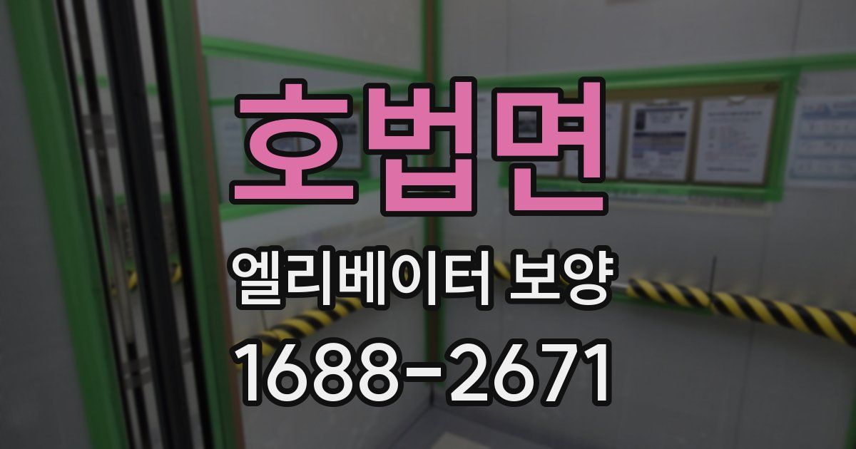 호법면 엘리베이터 보양